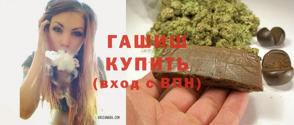 индика Краснотурьинск