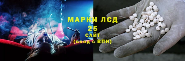 индика Краснотурьинск