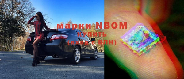 прущие грибы Красноперекопск