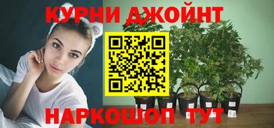 гашик Камышлов