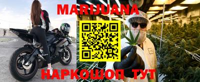 гашик Камышлов