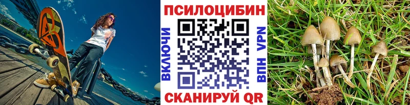 Псилоцибиновые грибы прущие грибы  купить   Михайловка 