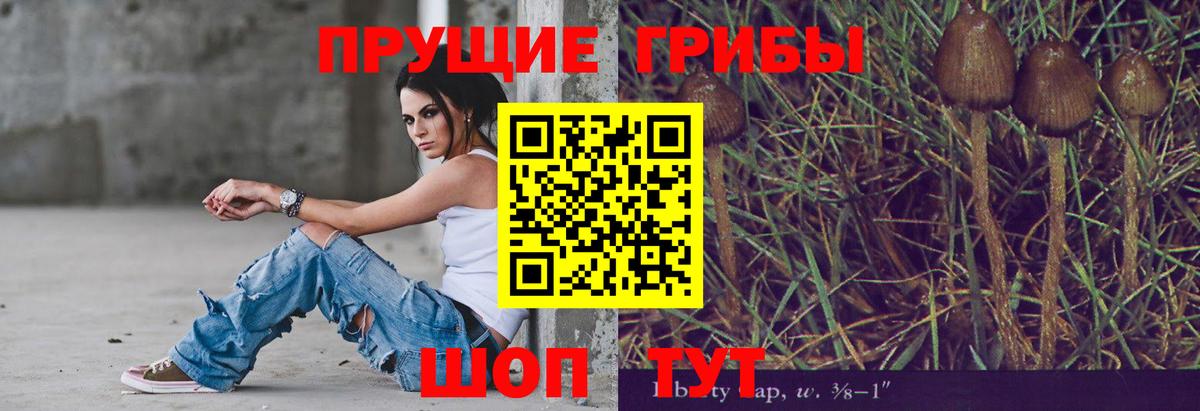 Каннабис Михайловка